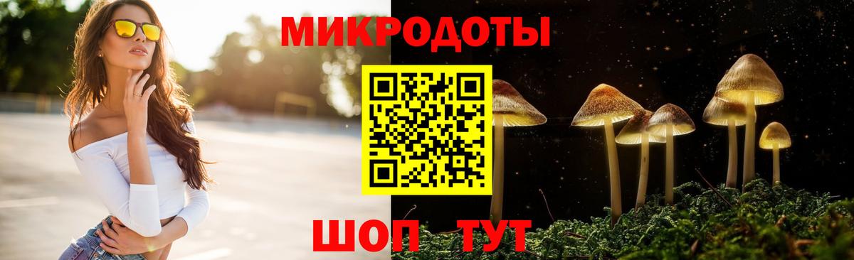 Галлюциногенные грибы MAGIC MUSHROOMS  наркошоп  Борисоглебск  Вход с VPN  Псилоцибиновые грибы GOLDEN TEACHER 